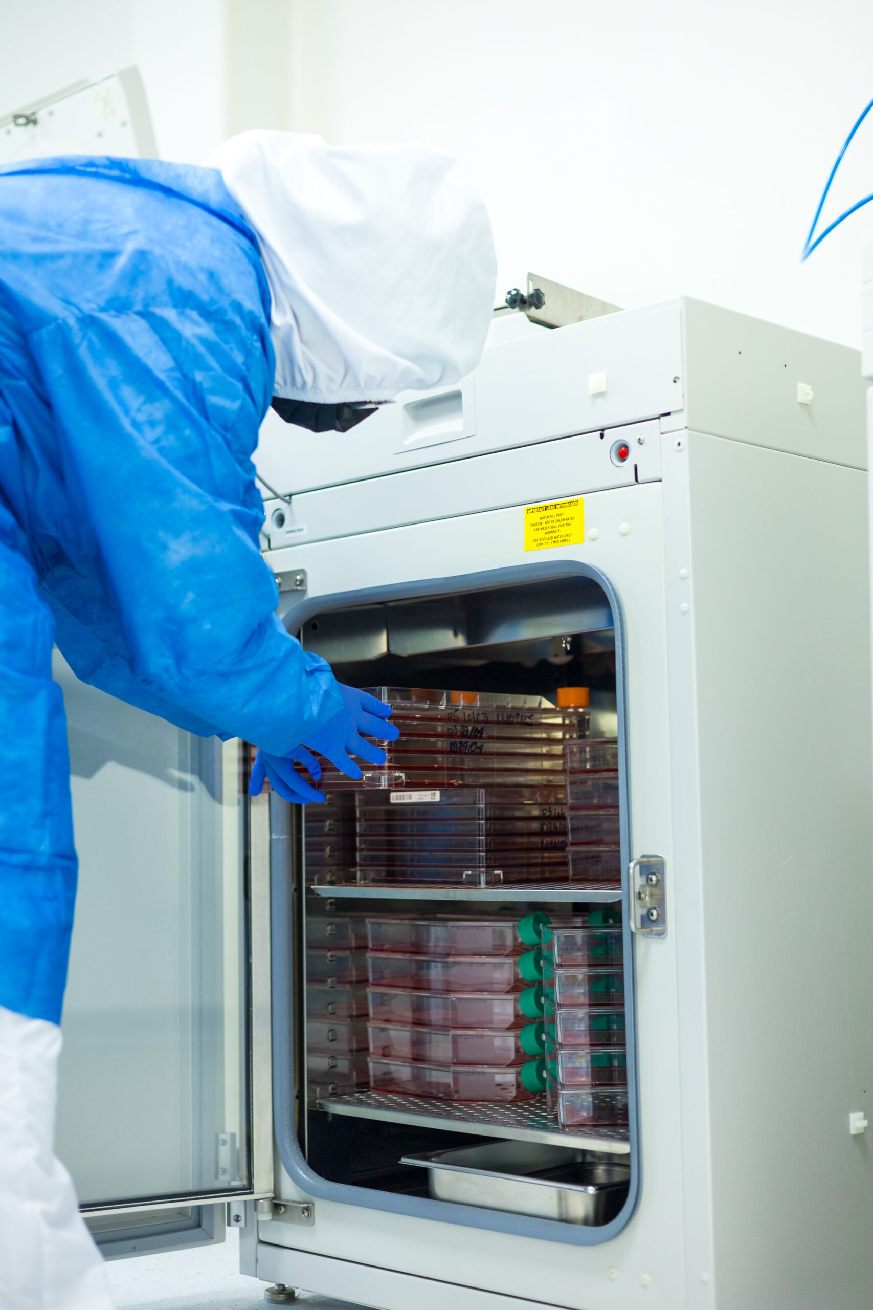 Incubadora de CO₂ de alta precisión para cultivo y expansión de células madre en condiciones controladas